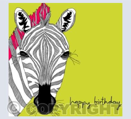 zebra