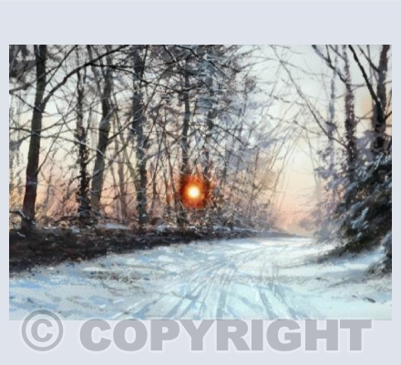 Winter's Glow