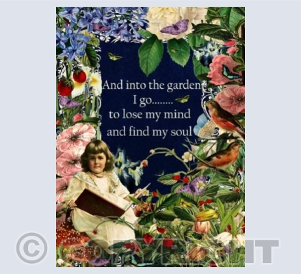 Into the garden