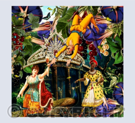 A Night at the Opera