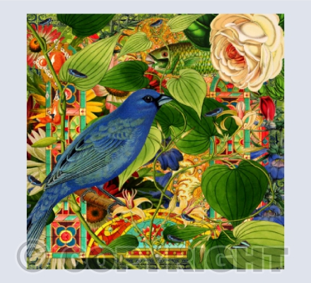 The Bluebird & the Honeysuckle Rose