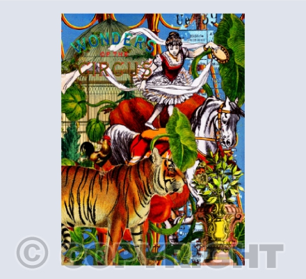 Catching the Tiger