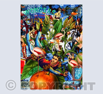 All the fun of the Fair