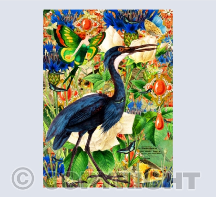 Fancies & Fripperies