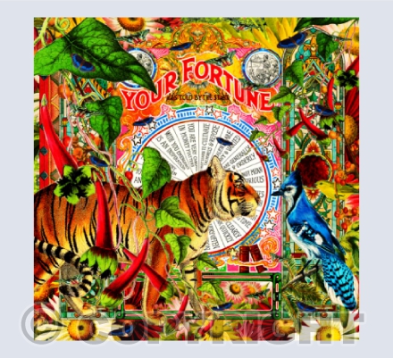 Fortune favours the bold