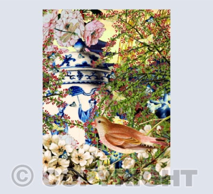 Pink bird & the ginger jar