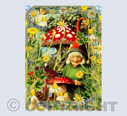 The Pixie House