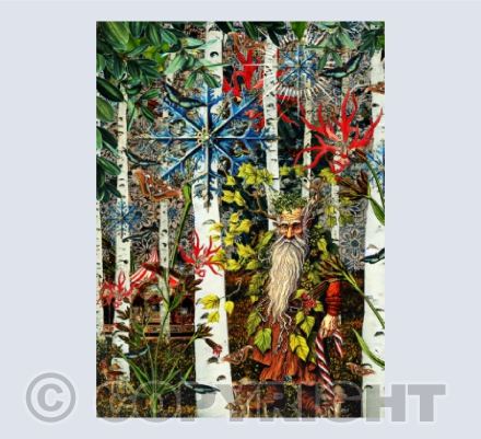 The Magical Forest