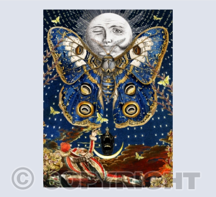The Moth & the Magi