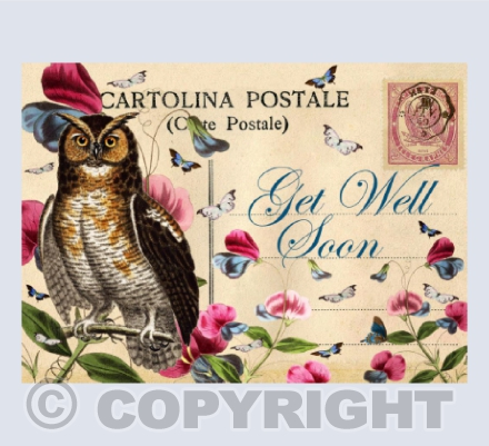 Wise Owl Get Well Soon