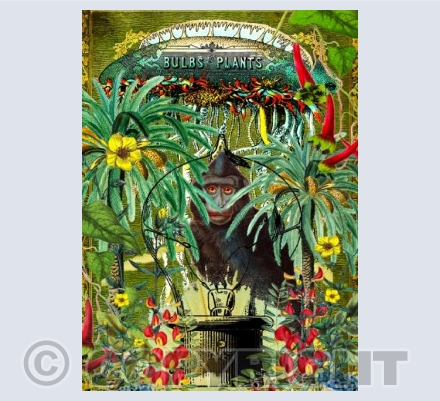 The Constant Gardener 