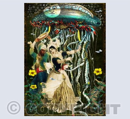 Dance by the light of the Moon