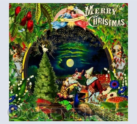 The Peacock & the Clowns