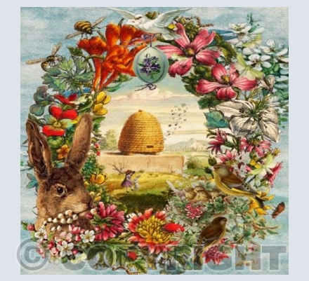 Easter Rabbit
