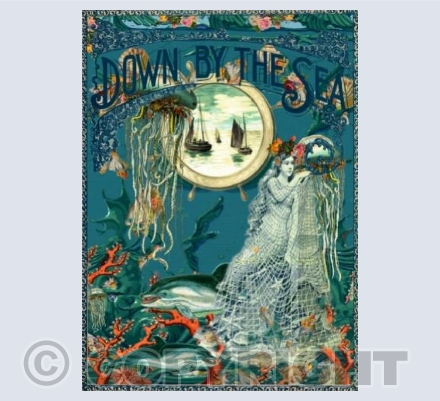 Mermaids Reef