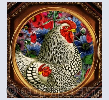 Chicken