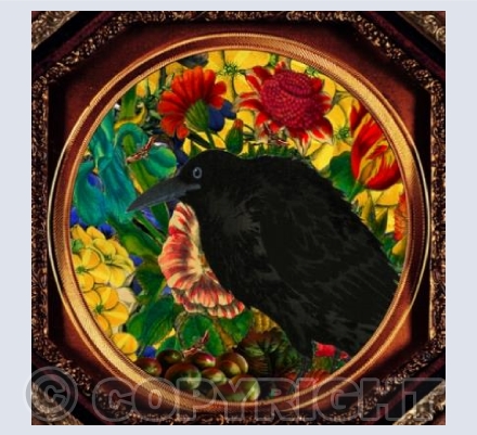 The Raven