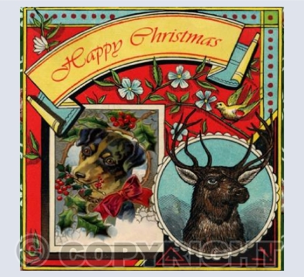 Nipper