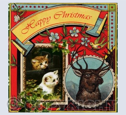 Christmas Kittens
