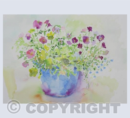 LAST OF THE PANSIES