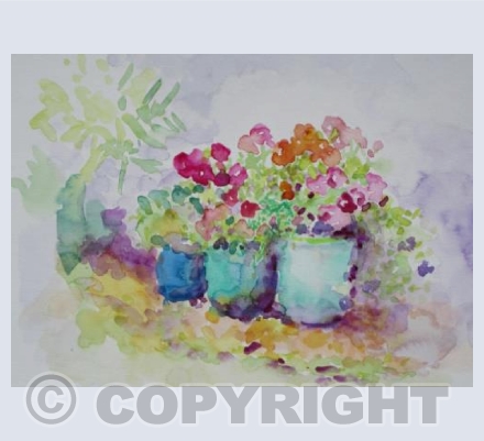 POTS ON MY PATIO
