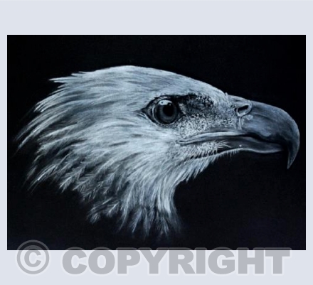 Eagle