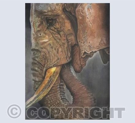 Matriarch