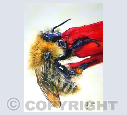 Bee kind