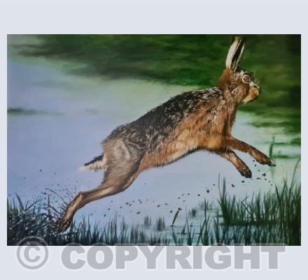 Leaping Hare