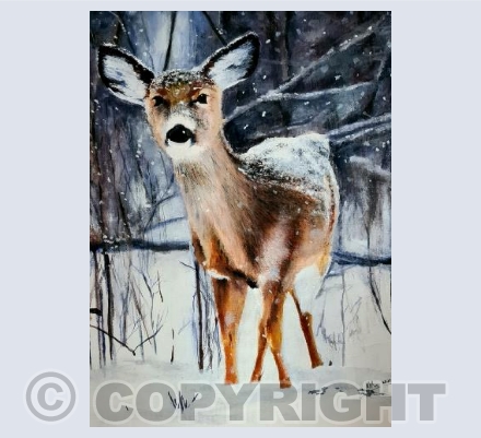 Doe