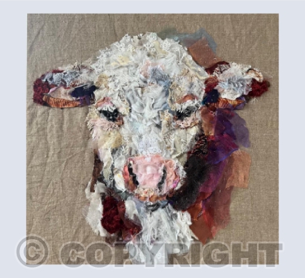 Hereford Calf 2
