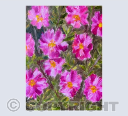 Rosa Mundi Roses Oil Painting