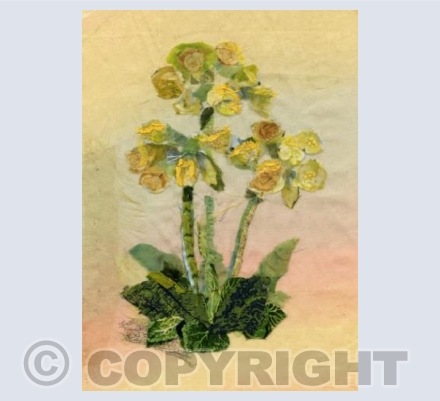 Cowslips