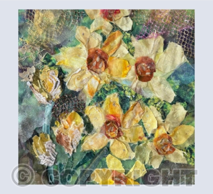 Daffodils