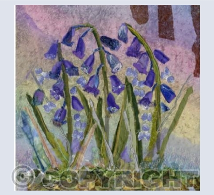 Bluebells 