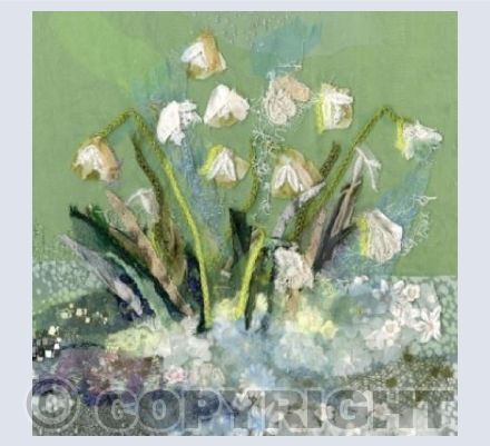 Snowdrops