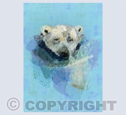 Polar Bear Swimming