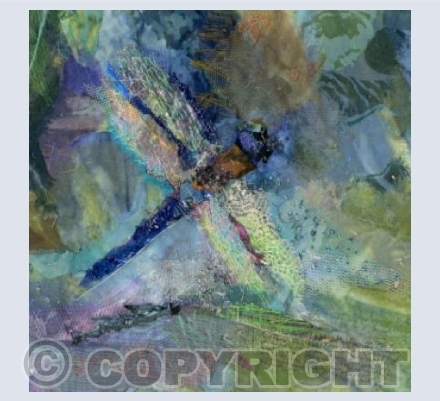 Dragonfly 4 