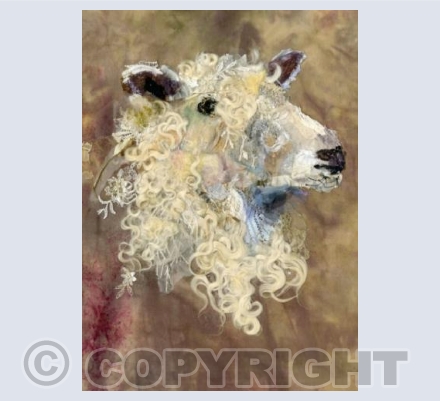 Cotswold Sheep XI