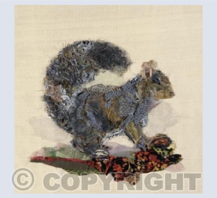 Squirrel