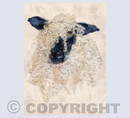 Wensleydale Sheep 2
