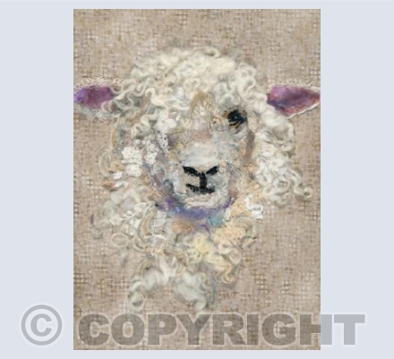 Cotswold Sheep #26