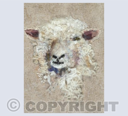 Cotswold Sheep #27