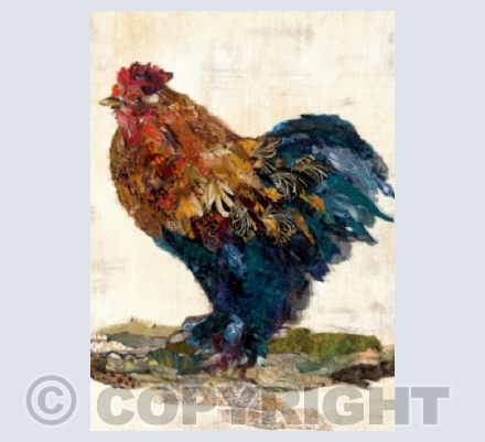 Cheetah the Cockerel