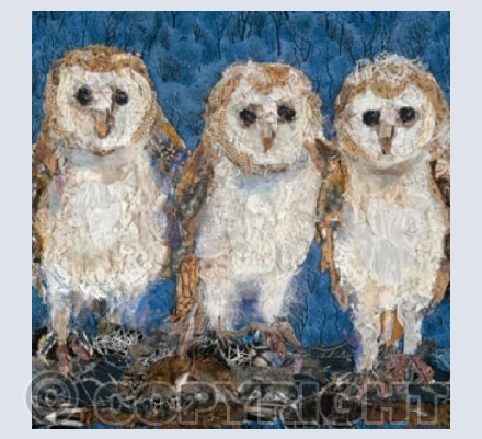 Barn Owl Chicks