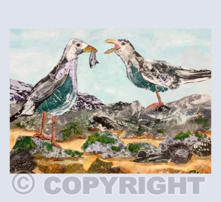 Two Seagulls and one fish!