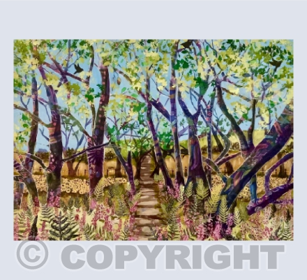 Woodland Walk