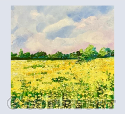 The Buttercup Field