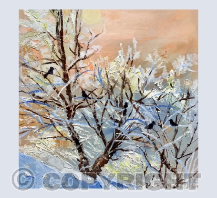 Winter Sunshine