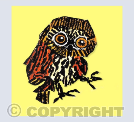 Little Owl
